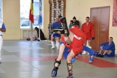 Lupta corp la corp din cadrul Spartachiadei CSC Dinamo 201816