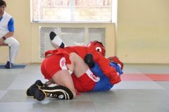 Lupta corp la corp din cadrul Spartachiadei CSC Dinamo 201826
