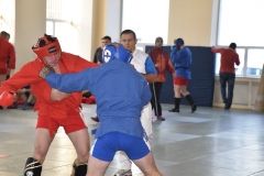 Lupta corp la corp din cadrul Spartachiadei CSC Dinamo 201838