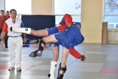 Lupta corp la corp din cadrul Spartachiadei CSC Dinamo 201853