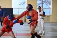 Lupta corp la corp din cadrul Spartachiadei CSC Dinamo 20188