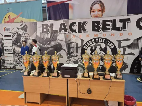 Rezultate frumoase la Black Belt Cup – Taekwondo WT
