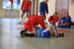 Lupta corp la corp din cadrul Spartachiadei CSC Dinamo 20183